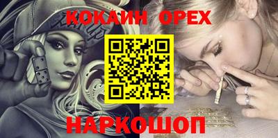крисы Гатчина
