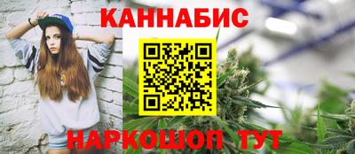 крисы Гатчина