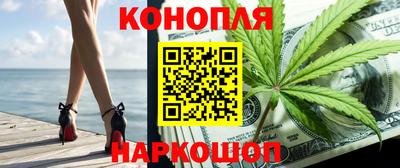 крисы Гатчина