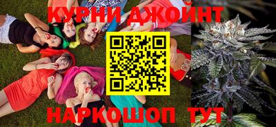 крисы Гатчина