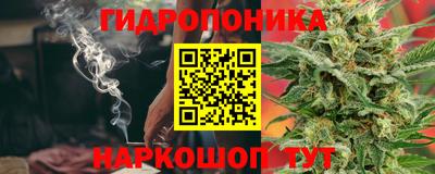 крисы Гатчина
