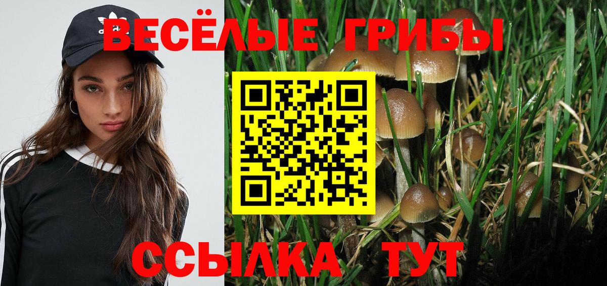 Галлюциногенные грибы GOLDEN TEACHER Отрадное