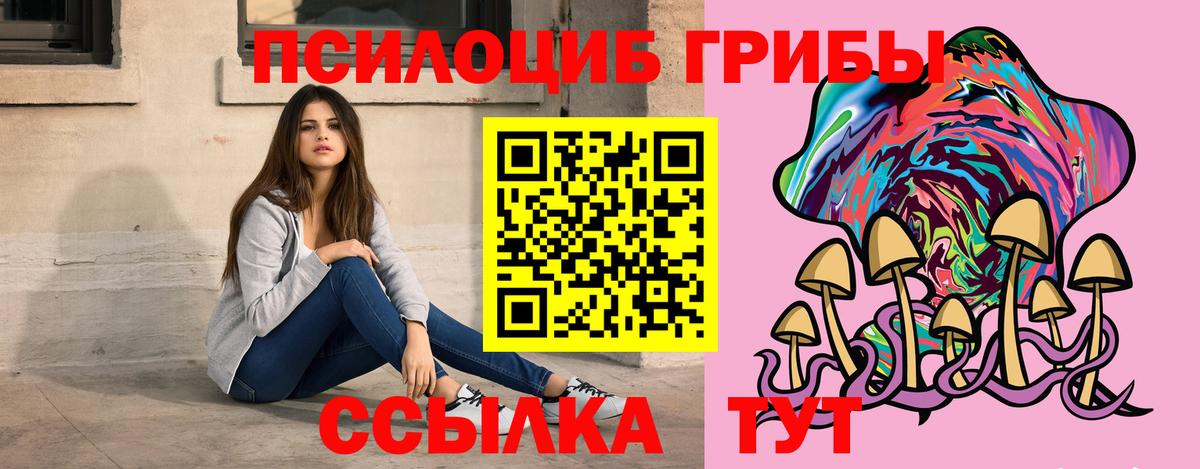 Отрадное  Галлюциногенные грибы Cubensis  закладка  Вход с VPN 