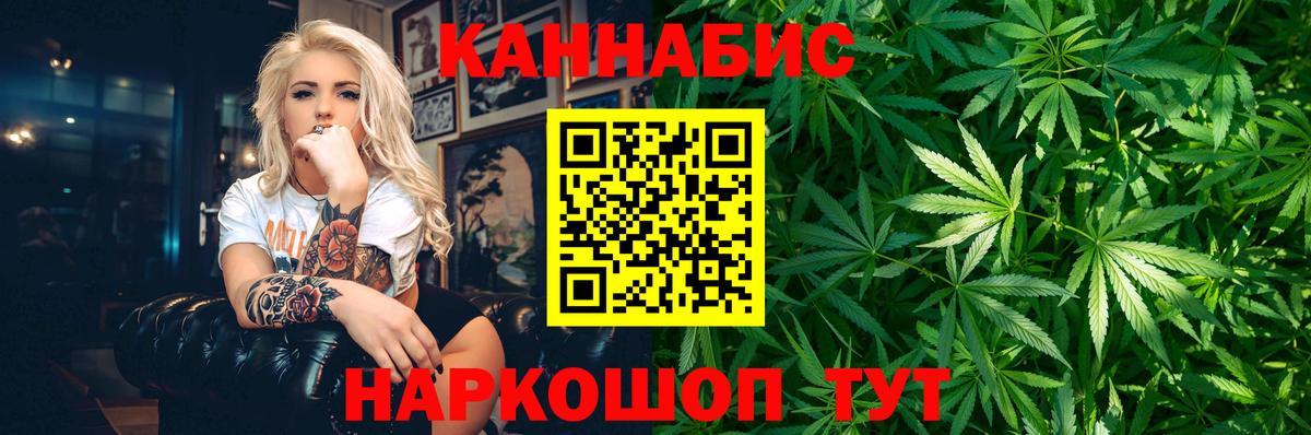Конопля планчик Отрадное